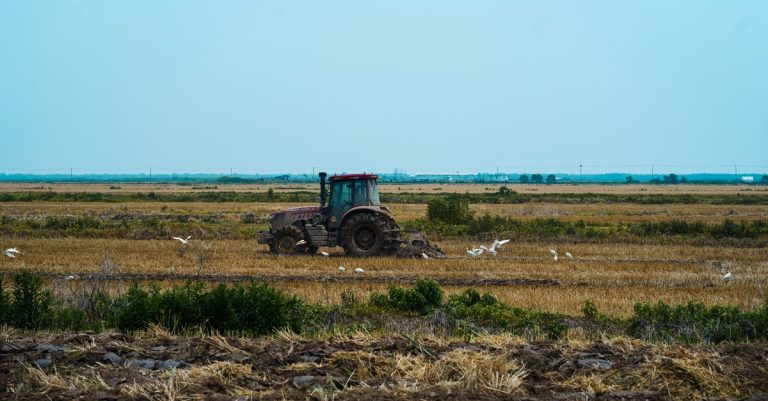 השקעה בקרקע חקלאית: הסיכונים שחשוב להכיר